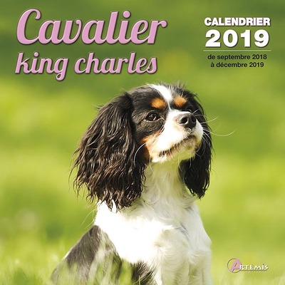 CALENDRIER CAVALIER KING CHARLES (2019)