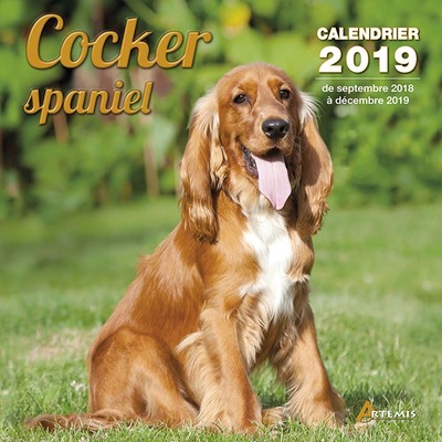 CALENDRIER COCKER SPANIEL (2019)