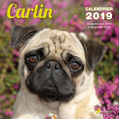 CALENDRIER CARLIN (2019)