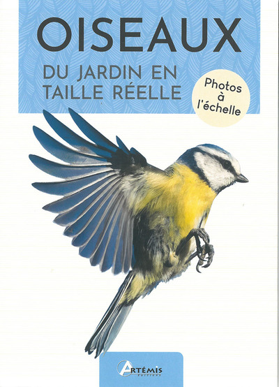 OISEAUX DU JARDIN EN TAILLE REELLE - PHOTOS A L´ECHELLE