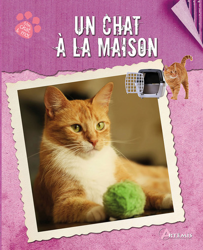 CHAT A LA MAISON (UN) - MON CHAT ET MOI