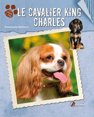 CAVALIER KING CHARLES