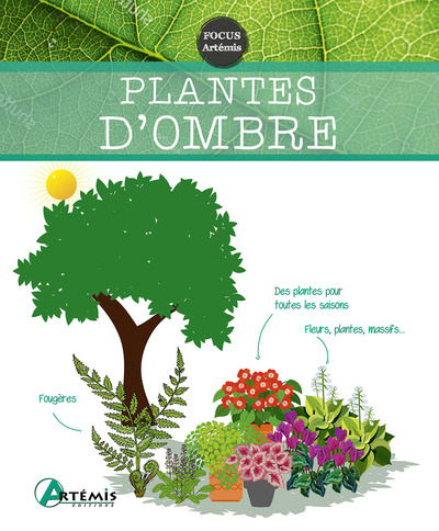 PLANTES D´OMBRE