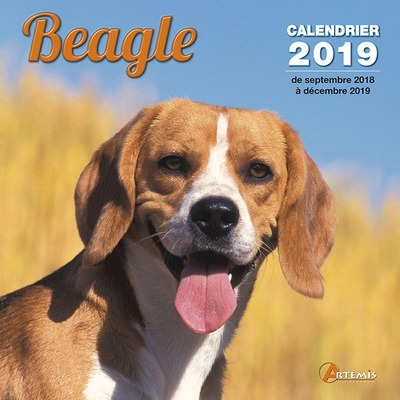 CALENDRIER BEAGLE (2019)