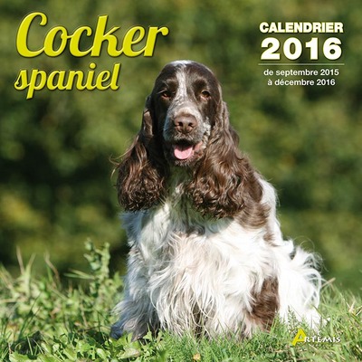 COCKER SPANIEL (2016)