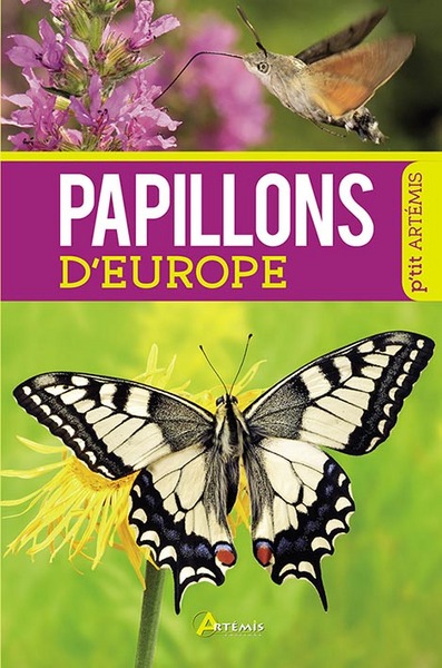PAPILLONS D´EUROPE