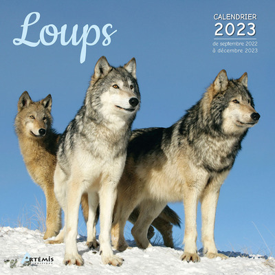CALENDRIER LOUPS 2023