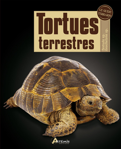 TORTUES TERRESTRES - GUIDE TERRARIO