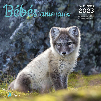 CALENDRIER BEBES ANIMAUX 2023