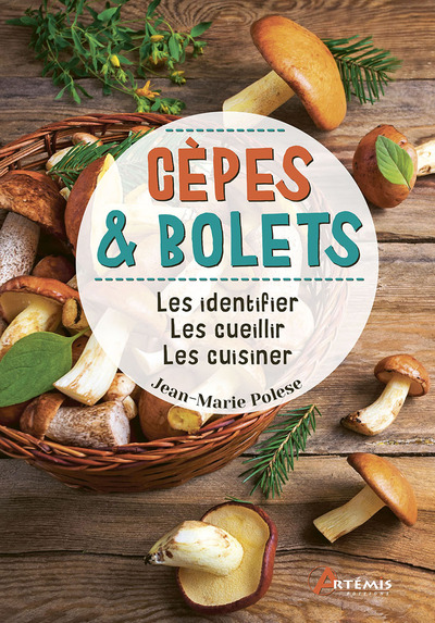 CEPES & BOLETS