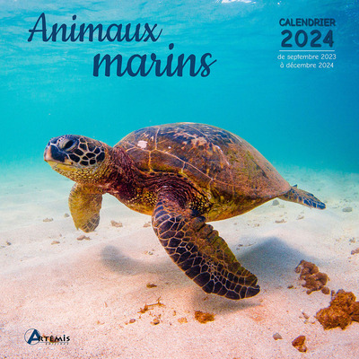 CALENDRIERS ANIMAUX MARINS 2024