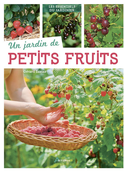 JARDIN DE PETITS FRUITS