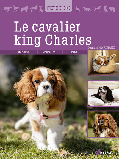CAVALIER KING CHARLES