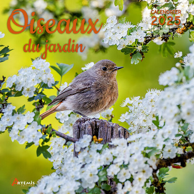 CALENDRIER OISEAUX DU JARDIN 2025