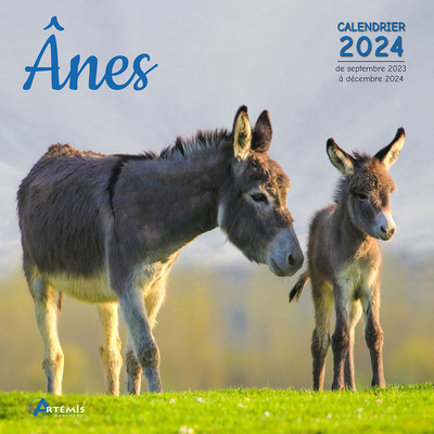 CALENDRIER ANES 2024