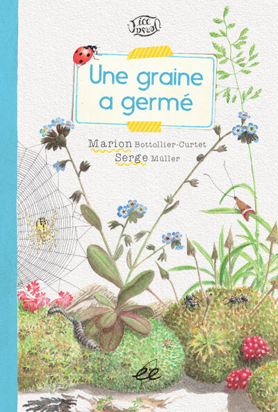 UNE GRAINE A GERME