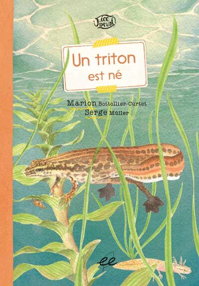 UN TRITON EST NE