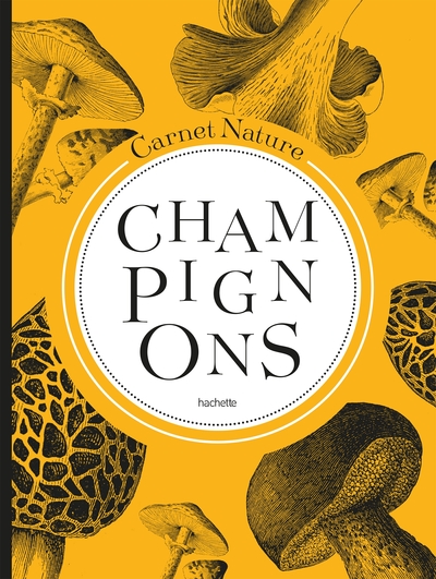 MON CARNET NATURE : CHAMPIGNONS