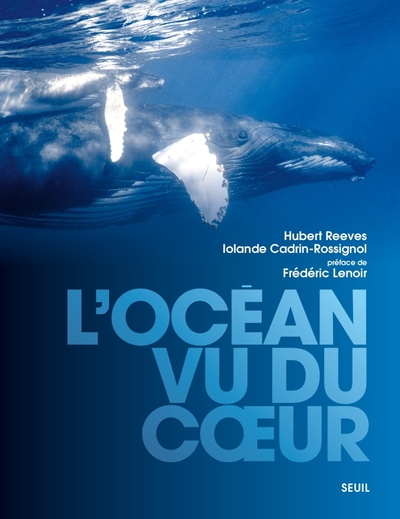 L´OCEAN VU DU COEUR