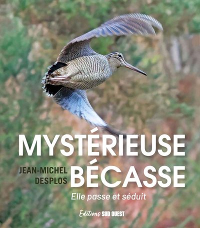 MYSTERIEUSE BECASSE. ELLE PASSE ET SEDUIT