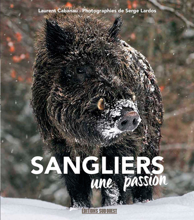 SANGLIER, UNE PASSION