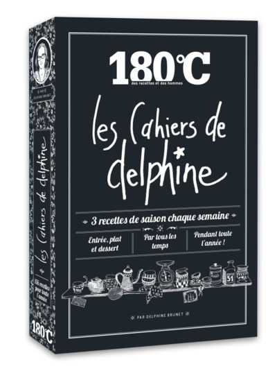 CAHIERS DE DELPHINE LE COFFRET 4 VOLUMES