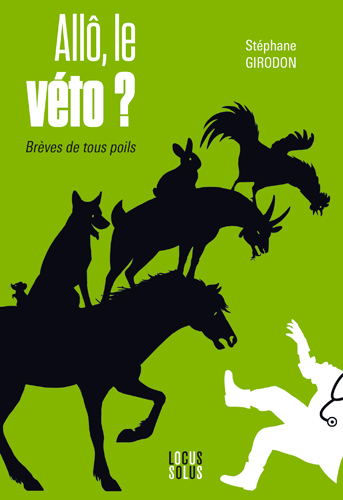 ALLO, LE VETO ?