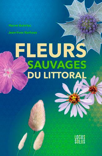 FLEURS SAUVAGES DU LITTORAL