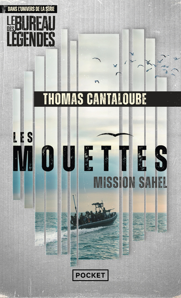 MOUETTES - MISSION SAHEL
