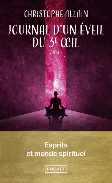 JOURNAL D´UN EVEIL DU 3E OEIL. VOL.2 - ESPRITS ET MONDE SPIRITUEL