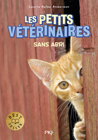 PETITS VETERINAIRES - TOME 2 SANS ABRI