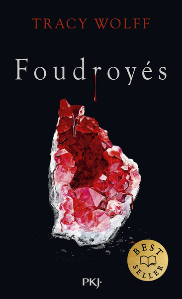ASSOIFFES - TOME 02 : FOUDROYES