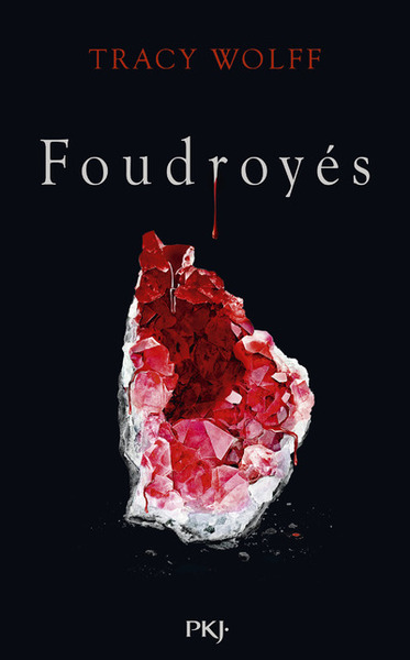FOUDROYES - ASSOIFFES - TOME 2