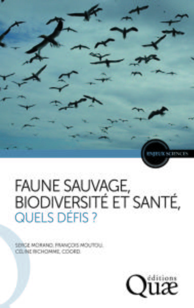 FAUNE SAUVAGE  BIODIVERSITE ET SANTE  QUELS DEFIS