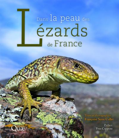 DANS LA PEAU DES LEZARDS DE FRANCE