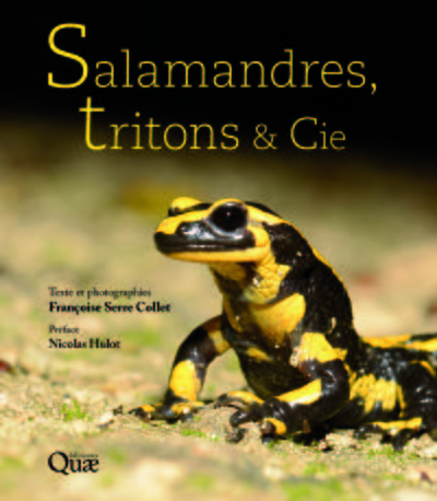 SALAMANDRES TRITONS ET CIE