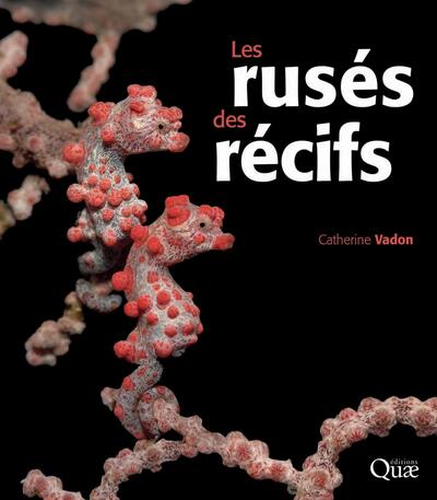 RUSES DES RECIFS