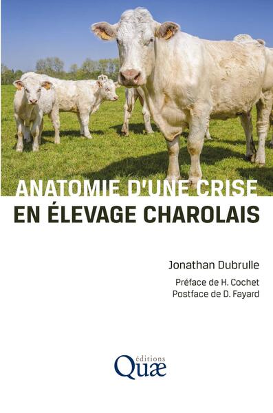 ANATOMIE D´UNE CRISE EN ELEVAGE CHAROLAIS