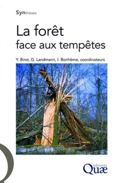FORET FACE AUX TEMPETES