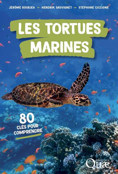 TORTUES MARINES - 80 CLES POUR COMPRENDRE