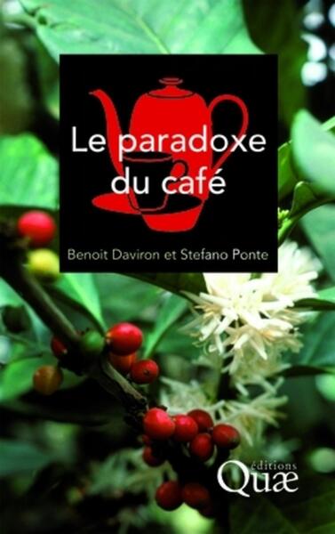 PARADOXE DU CAFE