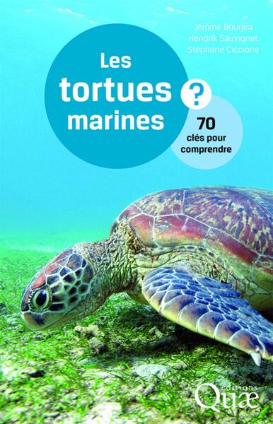 TORTUES MARINES (LES)