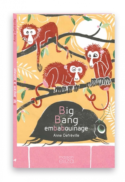 BIG BANG EMBABOUINAGE