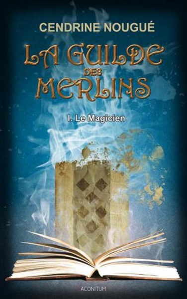 GUILDE DES MERLINS (LA) - LE MAGICIEN T1