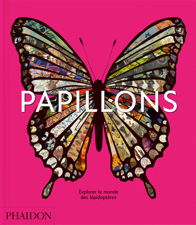PAPILLONS - ILLUSTRATIONS, COULEUR