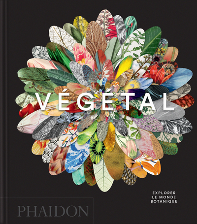 VEGETAL - EXPLORER LE MONDE BOTANIQUE - ILLUSTRATIONS, COULEUR