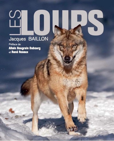 LOUPS