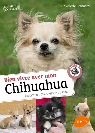 SAVOIR VIVRE AVEC MON CHIHUAHUA + VIDEOS