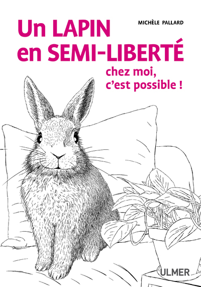 LAPIN EN SEMI-LIBERTE CHEZ MOI, C´EST POSSIBLE !