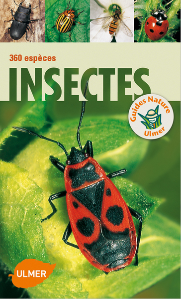 INSECTES 360 ESPECES